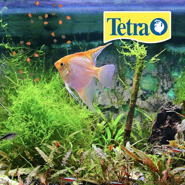 TetraPro Tropical Crisps 6.70 Ounces, Fish Food, Advanced Clear Water Formula