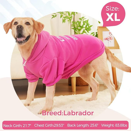 BINGPET Little Miss Attitude Dog Sweater with Hood and Leash Hole,Warm Fleece Dog Hoodie & Winter Coat for Small to Large Dogs,Cold Weather Pet Clothes(Large)