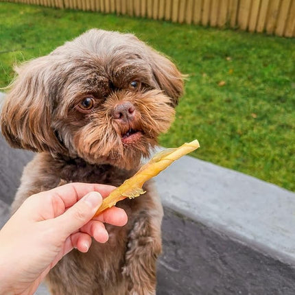 Rena's Recipe Chicken Twisty Sticks (8 oz) Rawhide Free Chicken Wrapped Soft Chews with Glucosamine for Joint Health