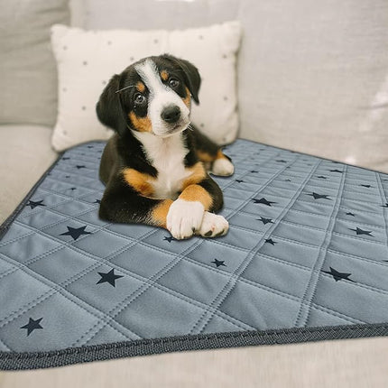 RIOUSSI Washable Pee Pads for Dogs, Reusable, Absorbent, Leakproof, Non Slip Pet Puppy Pads for Potty Training. Gray Stars, 24x36 Inch(2pack)