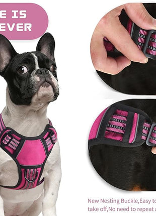 BUMBIN Dog Harness for Large Dogs, No Pull Adjustable No Choke Pet Vest with Dog Leash Fit Smart Reflective Pet Walking Harness for Training Easy Control Soft Handle Rose Red S