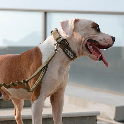 EXCELLENT ELITE SPANKER Nylon Puppy Dog Collar Adjustable Soft Padded Collar Heavy Duty Quick-Release Buckle Lightweight No-Choke for Small Medium Dogs(COB,S)