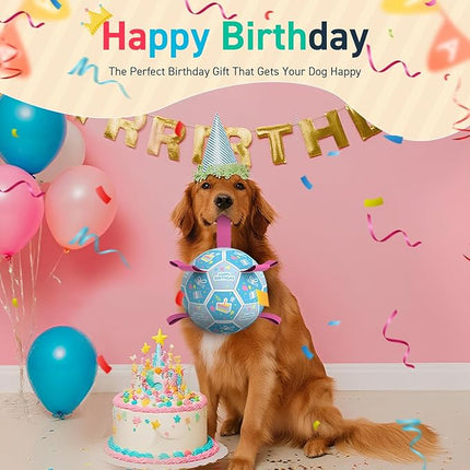 QDAN Dog Birthday Toys, Soccer Ball for Dogs with Straps, Dog Ball Toy, Puppy Birthday Gifts, Durable Herding Balls for Medium Large Dogs (8 inch)