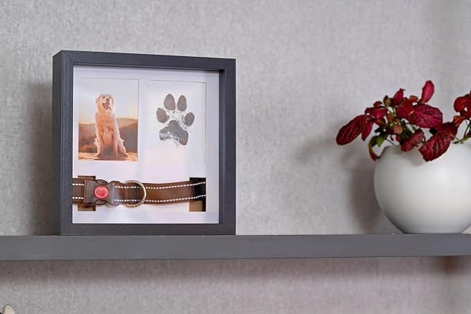 Memorial Picture Frame, 4 Customizable Displays, 9x9, Paw Print Kit for Dogs, Dog Memorial Gifts for Loss of Dog, Loss of Pet Sympathy Gift, Pet Paw Print Impression Kit
