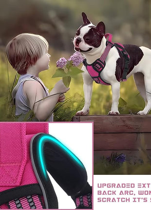 BUMBIN Dog Harness for Large Dogs, No Pull Adjustable No Choke Pet Vest with Dog Leash Fit Smart Reflective Pet Walking Harness for Training Easy Control Soft Handle Rose Red L