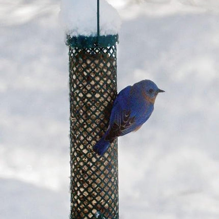 C&S Berry Flavored Nuggets, 6 Pack