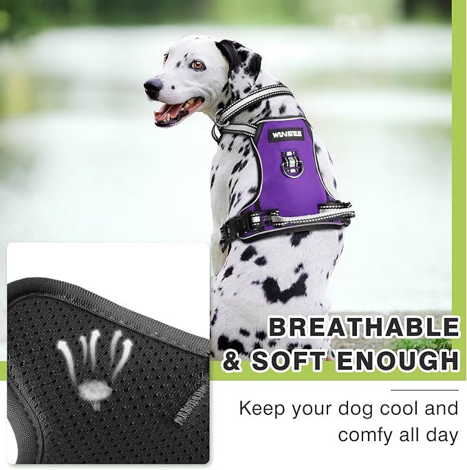 WINSEE Dog Harness No Pull, Pet Harnesses with Dog Collar, Adjustable Reflective Oxford Outdoor Vest, Front/Back Leash Clips for Small, Medium, Large, Extra Large Dogs, Easy Control Handle for Walking