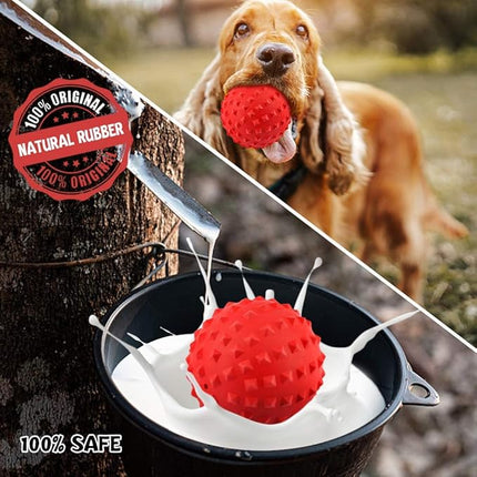 RHL Dog Squeaky Toys for Aggressive chewers Large Breed Balls Interactive Ball Toy Almost Indestructible Tough Durable Stick Medium Small Dogs Puppy Chew with Non-Toxic Natural Rubber