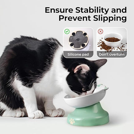 Y YHY Slow Feeder Cat Bowl, Ceramic Elevated Cat Bowl Tilted Design Slow Feeder for Dog and Cat for Dry and Wet Food, Green