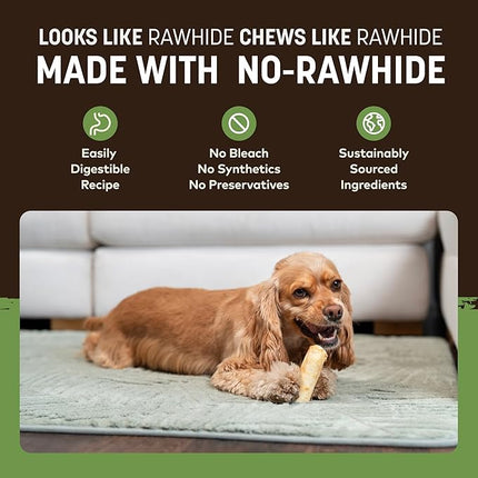 Earth Animal No Hide Chews - Long Lasting Rawhide Free Small Dog Chews Rolls, Pork - 2 Count