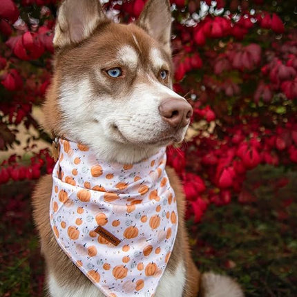 Lionheart glory Dog Bandana 1 Pack Washable Soft Cotton Halloween Pumpkin Bibs Scarf, Adjustable Kerchief Square Dog Bandanas for Small Dogs
