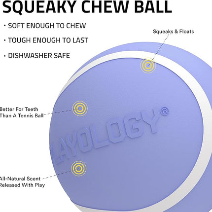 Playology Dog Toys | Squeaky Chew Ball - Bouncy Durable Floating Fetch Ball for Dogs | Medium Blueberry Scented Toy - Easy to Clean and Made from Non Toxic Materials