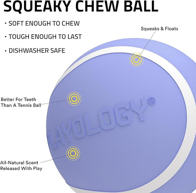 Playology Dog Toys | Squeaky Chew Ball - Bouncy Durable Floating Fetch Ball for Dogs | Medium Blueberry Scented Toy - Easy to Clean and Made from Non Toxic Materials