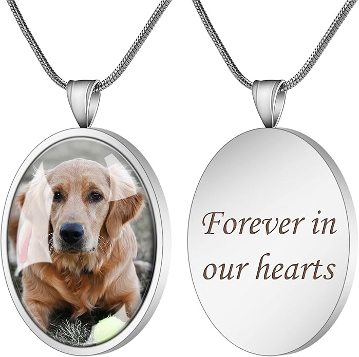 Farfume Personalized Pet Urn Necklace for Dog Cat Ashes Cremation Pet Memorial Customized Photo Text Engraving Pendant Keepsake Funeral Jewelry