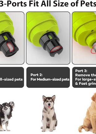 Casfuy Dog Nail Grinder with 2 LED Light - New Version 2-Speed Powerful Electric Pet Nail Trimmer Professional Quiet Painless Paws Grooming & Smoothing for Small Medium Large Dogs(Green)
