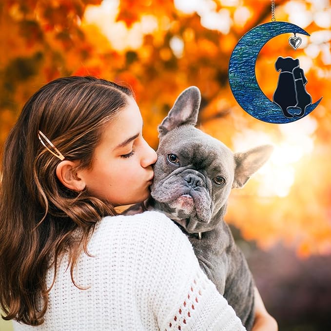 Double Dog Memorial Gifts for Dog Lovers, Loss of Dog Sympathy Gift Stained Glass Dog Suncatcher Pet Memorial Gifts Pet Sympathy Gifts for Dogs Window Hanging Ornament Remembrance Gift Pet Loss