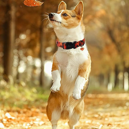 ARING PET Puppy Fall Dog Collar, Autumn Orange Maple Leaf Pet Collars for Small Medium Large Girl Boy Dogs Thanksgiving Halloween-S Size