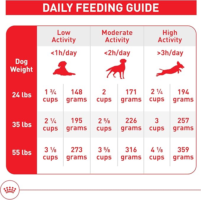 Royal Canin Size Health Nutrition Medium Adult Dry Dog Food, 30 lb Bag