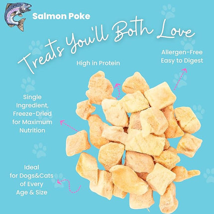 hotspot pets Freeze Dried Salmon Treats for Cats & Dogs -Made in USA-1LB Resealable Big Bag -Single Ingredient, High Protein, All Natural Grain-Free- Perfect for Training, Topper or Snack