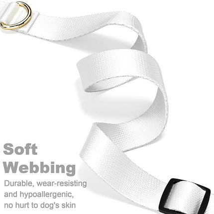 Rnivvi Dog Collar for Small Dogs, Classic Heavy Duty Adjustable Puppy Collar with Quick Release Buckle for Boy Girl & Female,Pet Accessories for Walking Running Training, S Length 3/4" Width, White