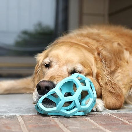 JW Pet HOL-ee Roller™, Dog Toy Puzzle Ball, Natural Rubber, Large (5.5” Inch Diameter), Blue