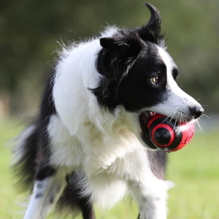 Nerf Dog Rubber Football Dog Toy with Interactive Squeaker, Lightweight, Durable and Water Resistant, 5 Inch Diameter for Medium/Large Breeds, Single Unit, Red