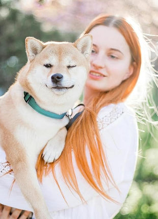 Roses&Poetry Collars for Dogs, Adjustable Reflective Durable Pet Collars for Small Medium Large Dogs (Bluegreen-XS)