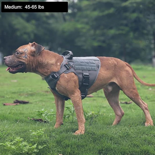 ICEFANG Tactical Dog Harness, Medium Size,2X Metal Buckle,Working Dog MOLLE Vest with Handle,No Pulling Front Leash Clip,Hook and Loop Panel (Grey,M (Pack of 1))