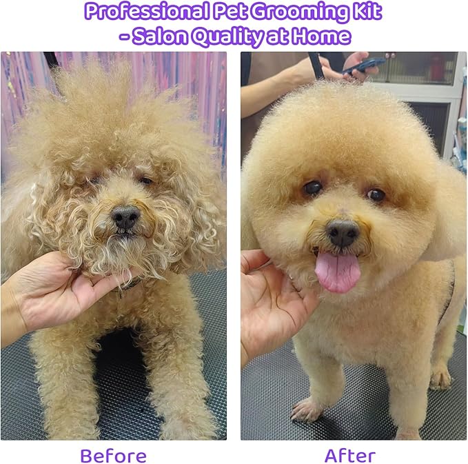 7-in-1 Grooming Kit for Dogs at Home with Stainless Steel Scissors Professional Dog Grooming Scissors Ergonomic Dog Shears for Grooming Perfect for Small and Large Dogs