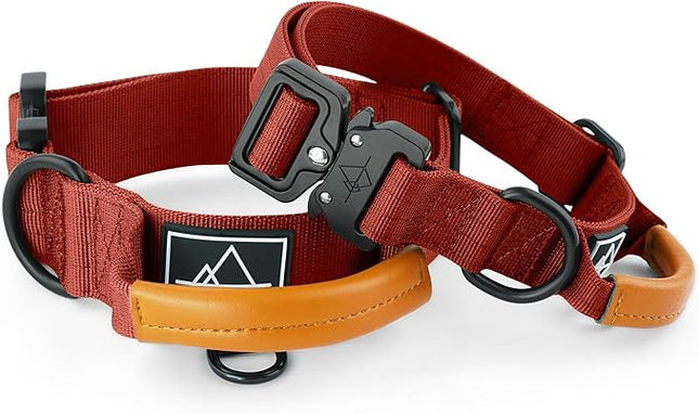 Made to ROAM Premium Explorer Control Collar - Adjustable Heavy Duty Nylon Dog Collar with Quick-Release Metal Buckle and Leather Handle (Texas Flair, Size 2, Control)