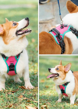 PHOEPET 2019 Upgraded No Pull Dog Harness, Reflective Adjustable Vest, with a Training Handle + 2 Metal Leash Hooks+ 3 Snap Buckles +4 Slide Buckles(L, Pink)