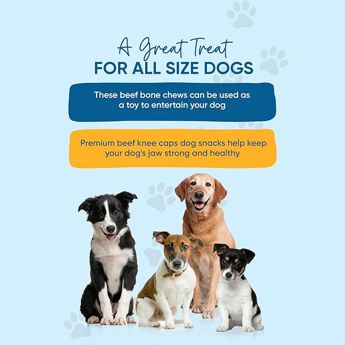 123 Treats - Dog Bone Knee Caps - 100% Natural & Long Lasting Beef Chews Beef Chew Treats for Pets - Ideal for Small to Large Dogs (30 Count - Made in USA)