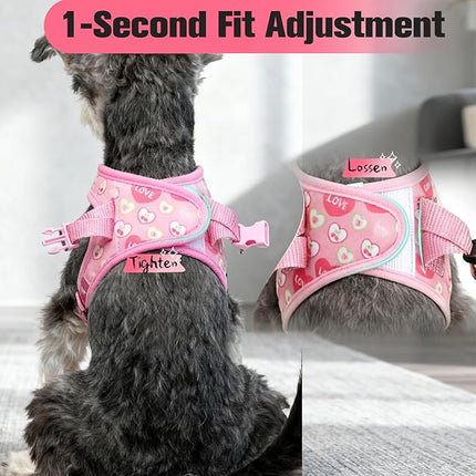 EXPAWLORER Small Dog Valentines Harness and Leash Set - Cute Puppy Harness Leash Dog Collar with AirTag Holder Silicone Case, Soft Padded Step in Pet Vest Reflective for Outdoor Walking, Heart M