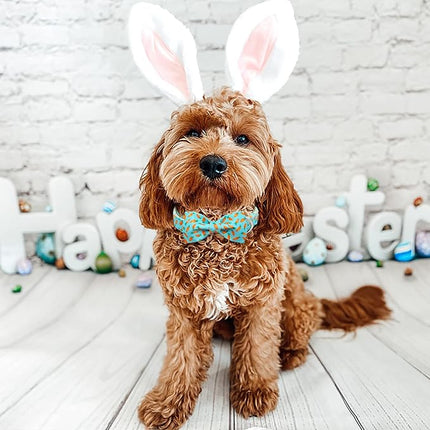 Easter Dog Collar with Bow Tie - Adjustable Easter Carrot Dog Collar Designer Bowtie Collar Metal Buckle Puppy Collars for Small Medium Large Dogs S