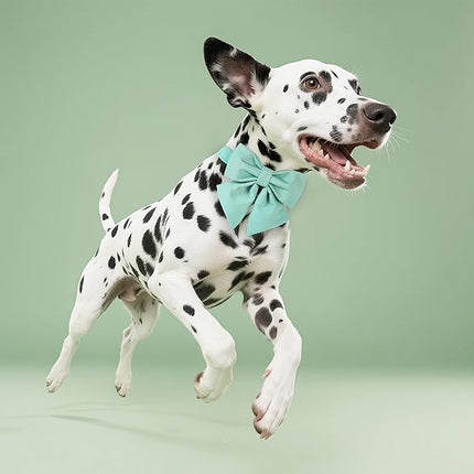 Maca Bates Mint Green Dog Collar with Cute Solid Sailor Bow Tie for Large Girl Boy Dogs,Adjustbale Durable Breakaway Soft Collars with Bowtie for Female Male Puppy,Pet with Metal Buckle