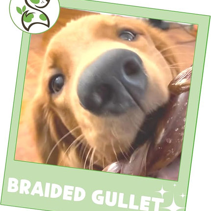 Nature Gnaws Braided Beef Chews for Dogs 5-6" (3 Count) - Long Lasting for Small and Medium Dogs - Natural Beef Gullet Jerky Dog Chew Treats