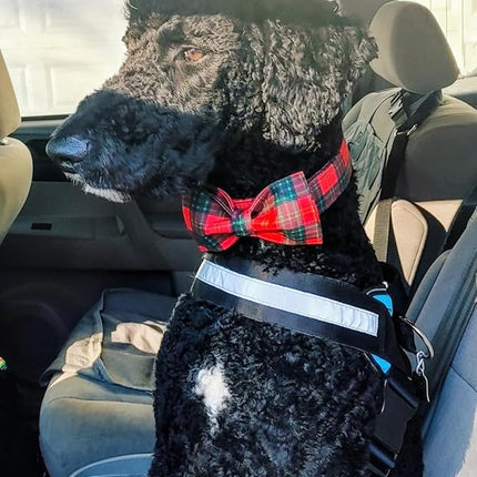 Lionet Paws Christmas Dog and Cat Collar with Bowtie,Soft and Comfortable,Adjustable Collar