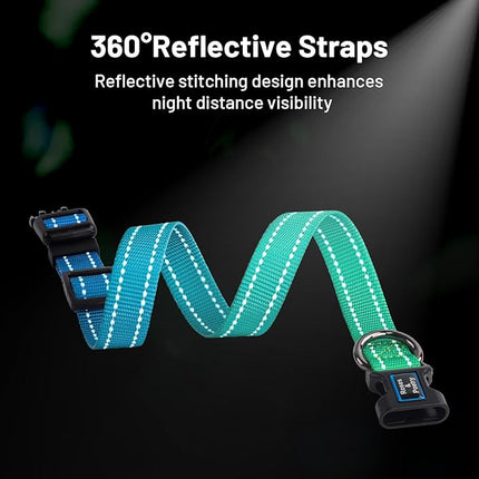 Roses&Poetry Small Dog Collar, Adjustable Personalized Durable Pet Collars for Small Medium Large Dogs (Bluegreen-S)