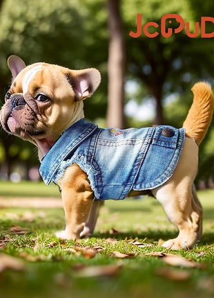 Birthday Gift Boy Dog Jeans Jacket Denim Pet Coat for Puppy Small Dogs Classic Overalls Male Cat Costumes Washed Vest Clothes Outfit T-Shirts (Small)