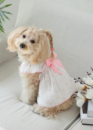 QWINEE 2 Piece Cute Heart Pattern Dog Dress Ruffle Trim Princess Dress Cat Vest Dress Lace Trim Summer Dress Pet Clothes for Small Medium Cats Dogs Kitten Puppy Multicolor A XX-Large