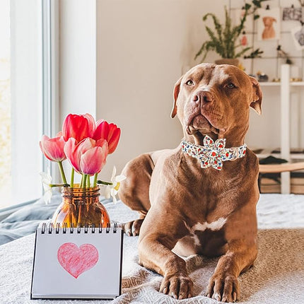 Elegant little tail Dog Collar, Girl or Boy Dog Collar Flower Pet Collar with Flower Customize Collar for Dog Adjustable Dog Collar for X-Small Dogs