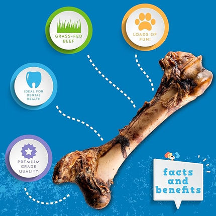 Jack&Pup Mammoth Big Dog Bones for Large Dogs, 15" Femur Beef Bones for Agressive Chewers, Natural Giant Dog Bone (1 Pack)