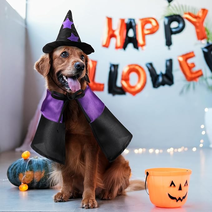 2 Sets Halloween Pet Costume Cats Witch Shaped Cloak and Hat Witch Cloak for Small Large Pets Gifts Party Favor(Large)