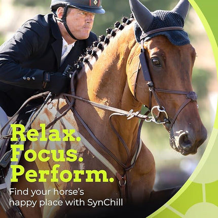 SynChill Oral Horse Supplement Gel, 100% Natural Nutritional Support, Helps Maintain Focus & Composure, Trusted by Equine Professionals, Drug-Free & Made in USA - 25-Pack