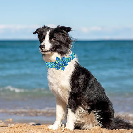 Elegant little tail Dog Collar, Dog Collar with Flower Boy Girl Pet Collar Flowers Soft Durable Dog Flower Collar for Large Dogs