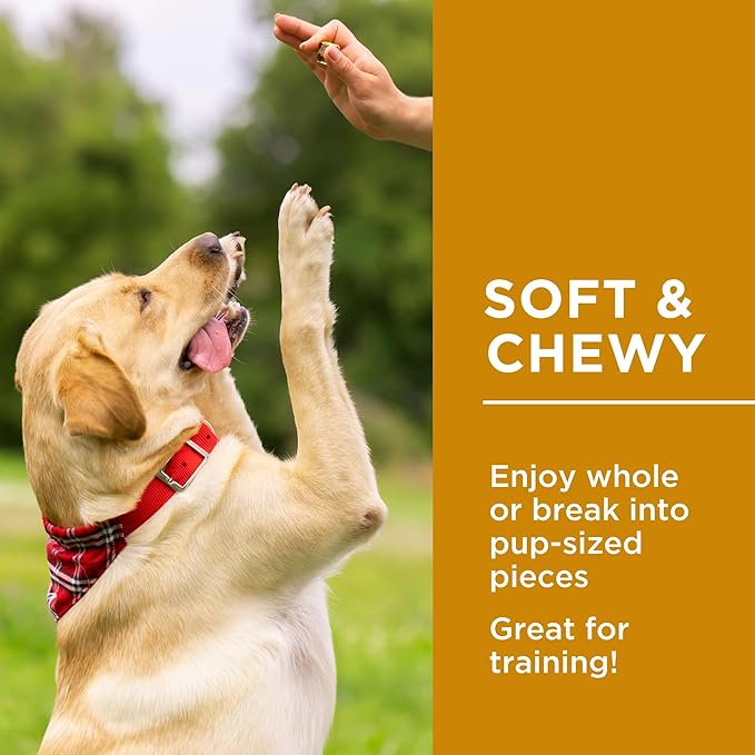 Dog's Delights Chewy Lamb Sticks, 1.25kg, Dog Treats