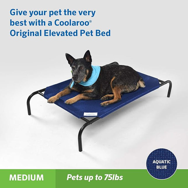 Coolaroo Original Elevated Dog Bed - Breathable Off-The-Ground Pet Bed with Cooling Fabric, Joint Relief & Moisture-Resistant Fabric, 100% Recyclable, Easy Clean, Aquatic Blue, Medium