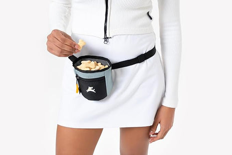 OllyDog Goodie Treat Bag, Dog Treat Pouch, Waist Belt Clip for Hands-Free Training, Magnetic Closure, Dog Training and Behavior Aids, Three Ways to Wear (St. Lucia)