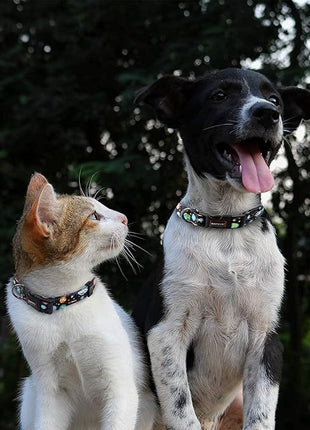 Roses&Poetry Dog Collar with Colourful Star Patterns, Adjustable Durable Puppy Collars for Small Medium Large Dogs (Star-XS)