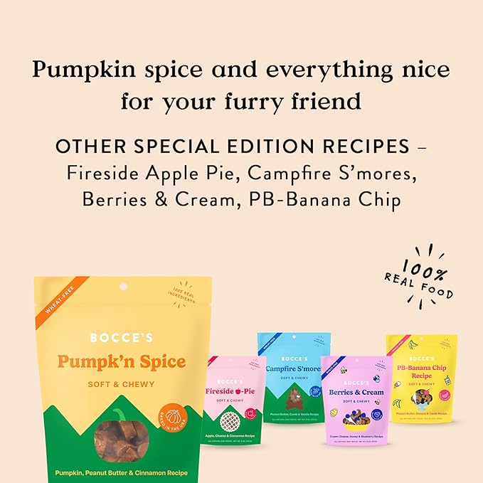 Bocce’s Bakery Pumpk'n Spice Treats for Dogs, Wheat-Free Everyday Dog Treats, Made with Real Ingredients, Baked in The USA, All-Natural Soft & Chewy Cookies, Pumpkin, Peanut Butter, & Cinnamon, 6 oz